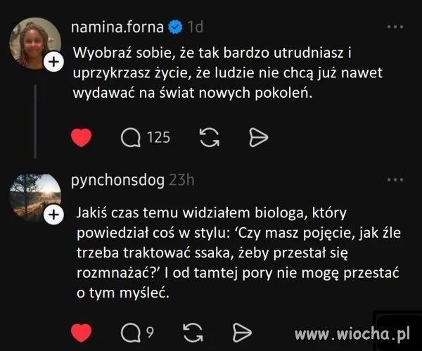 Gotowanie żaby