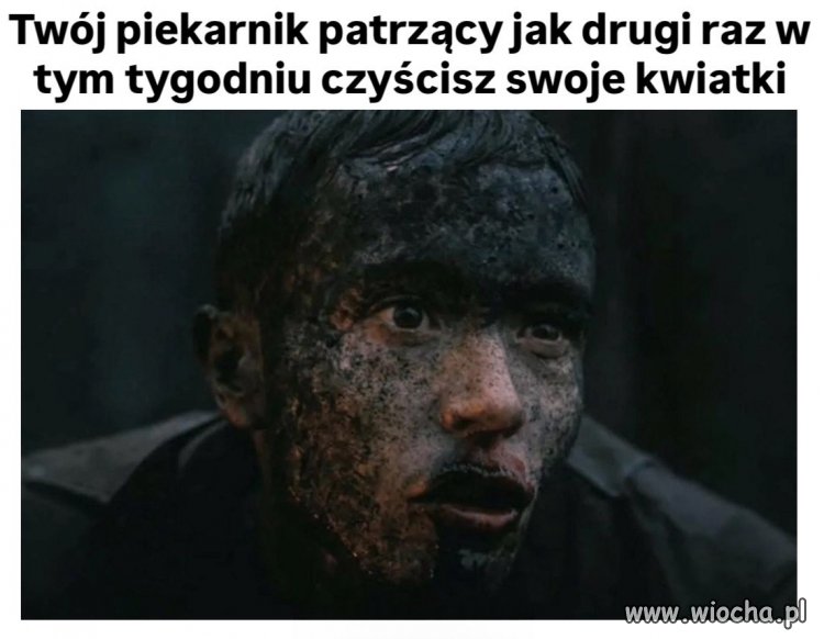 Piekarnik czeka na swoją kolej