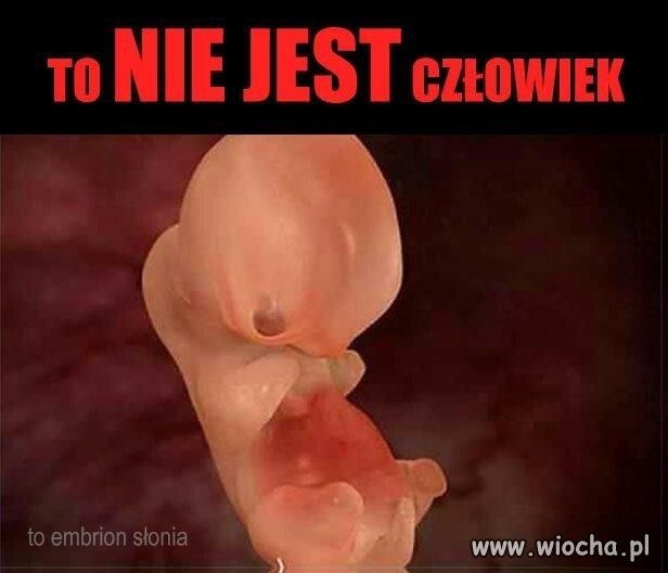 To nie jest człowiek