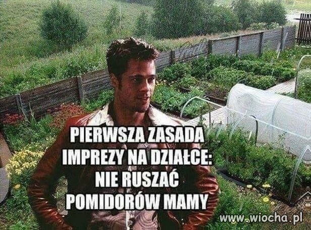 W ogóle nie ruszać niczyich pomidorów