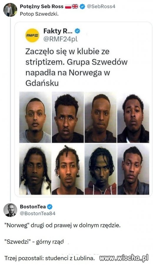 Normalnie z rodowodem jak się patrzy 
