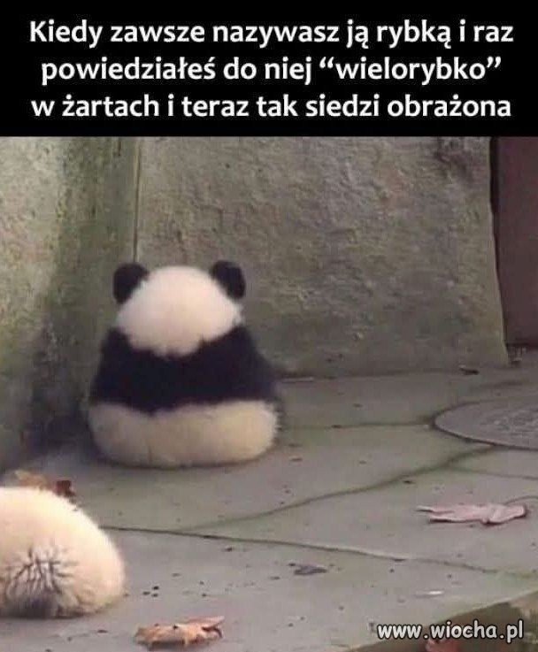 Kiedy zawsze nazywasz ją rybką i raz powiedziałeś do niej wielorybko
