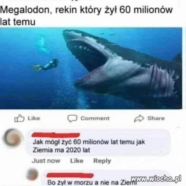 No i się dogadali