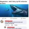 No i się dogadali