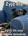 Żyję dla moich 5 godzin snu