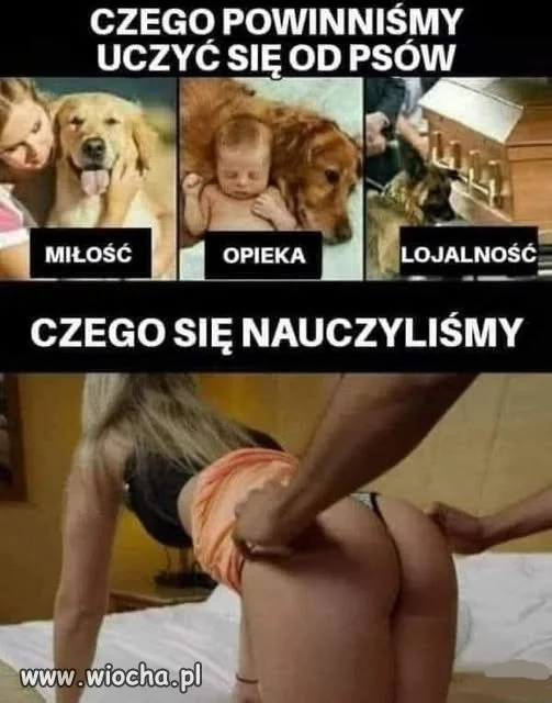 Narzekam na lafiryndy...