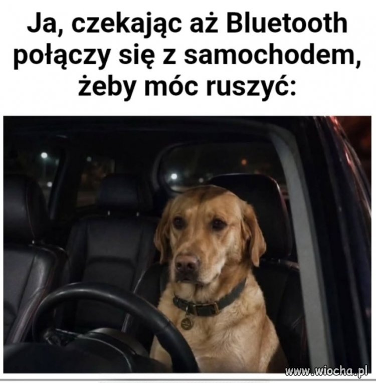 Bez muzyki nie ruszę