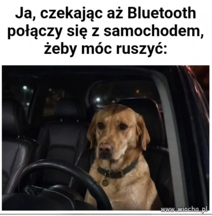 Bez muzyki nie ruszę