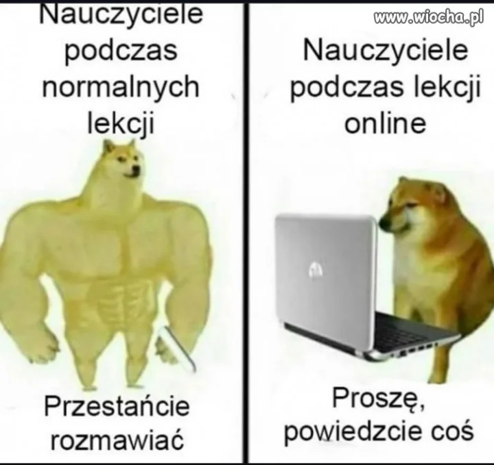 Czy wszyscy mnie słyszą?