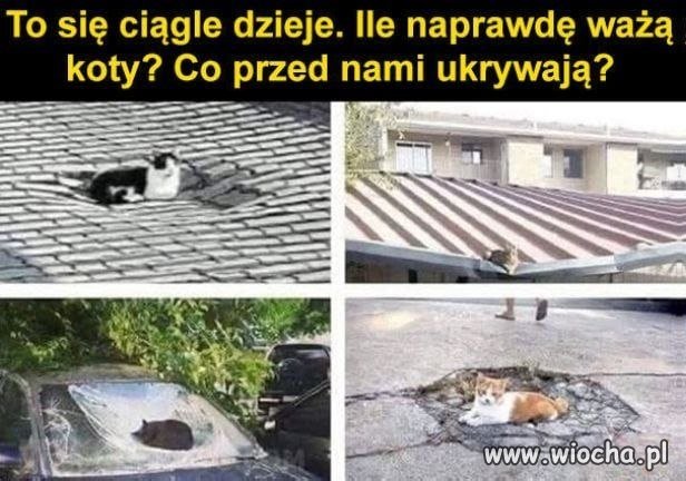 To jest naprawdę niebywałe