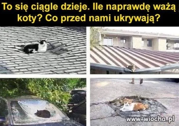 To jest naprawdę niebywałe