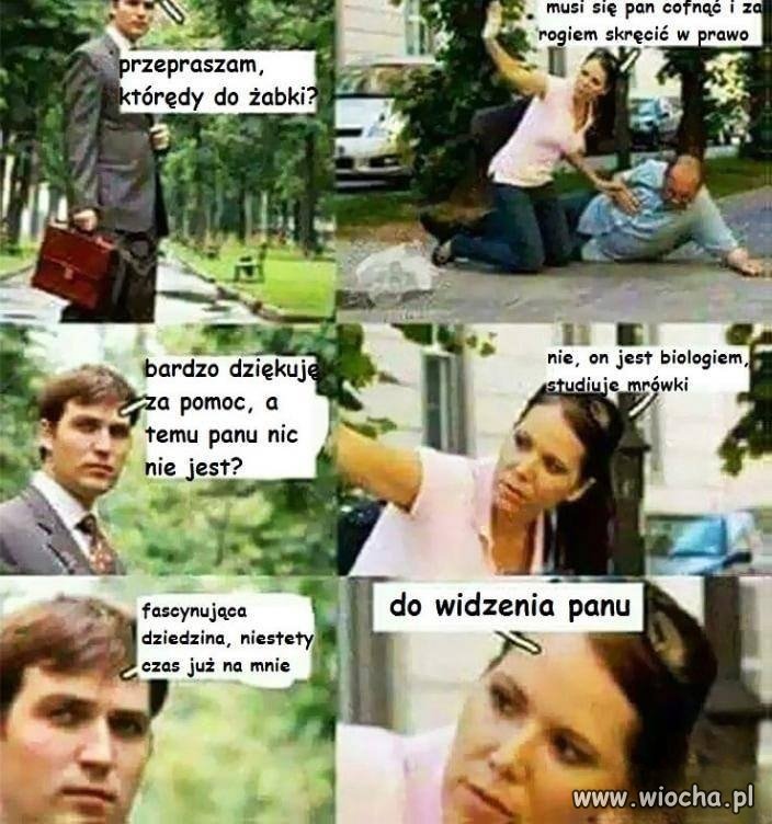 Fascynująca dziedzina
