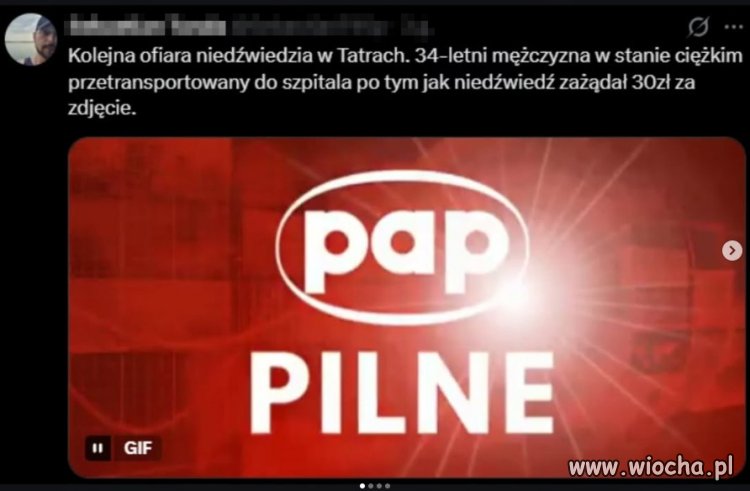 Skubany niedźwiedź zażądał 30 zł