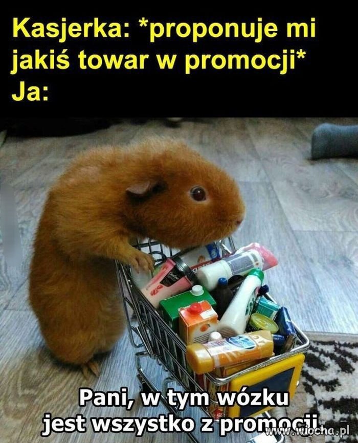 Promocja, promocja 