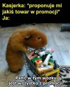 Promocja, promocja 