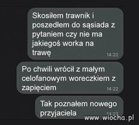 Tak się rodzi przyjaźń