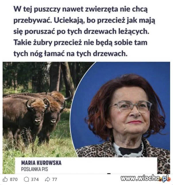 Słowo na niedzielę