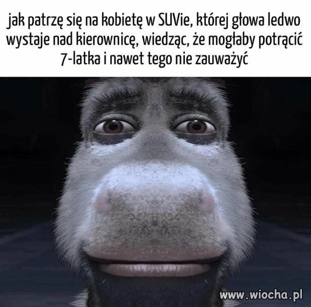 Też mnie to zastanawia