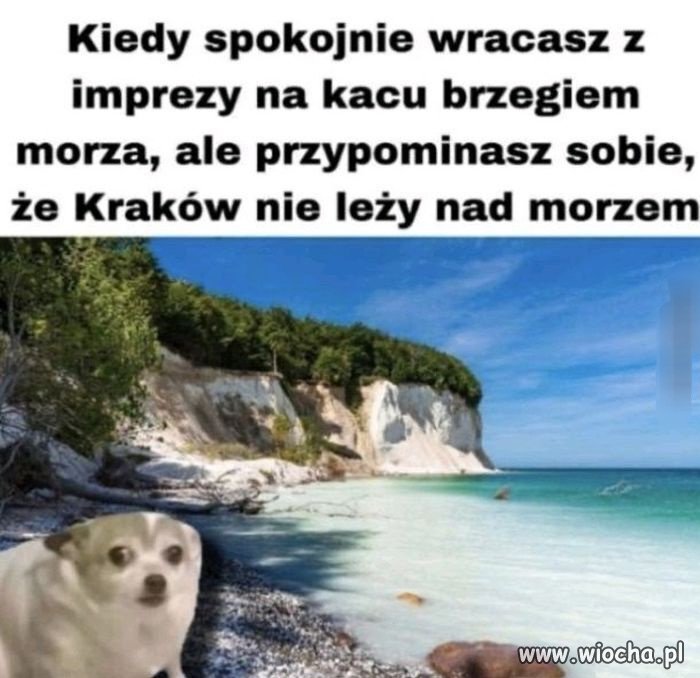 Bunkrów nie ma 