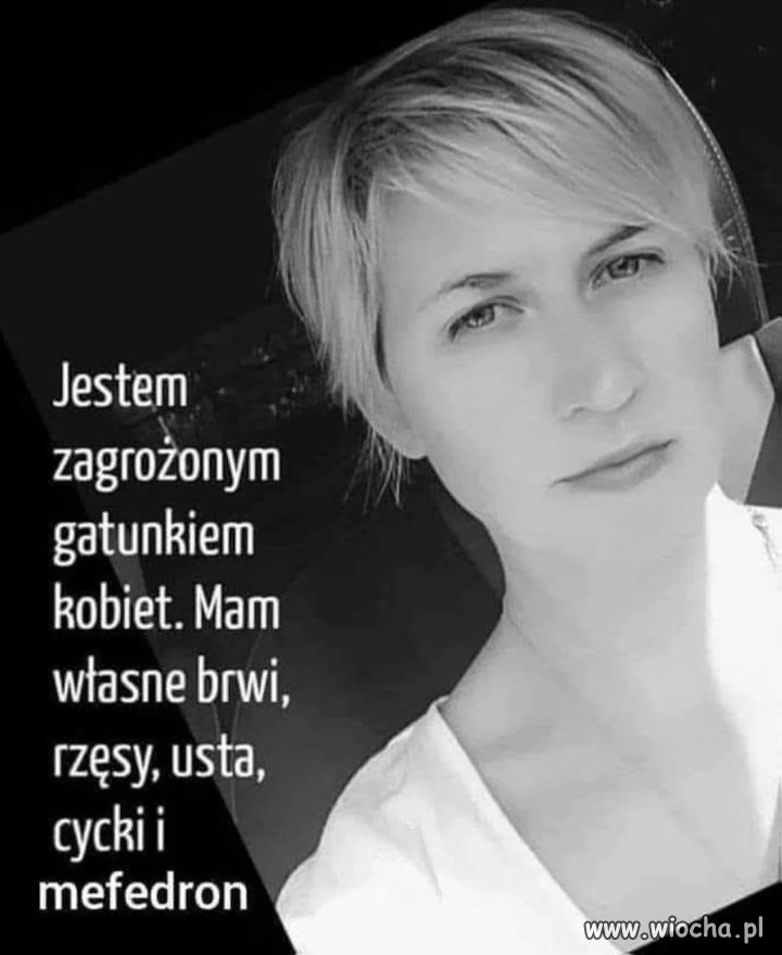 Rozwódki w Internecie like: