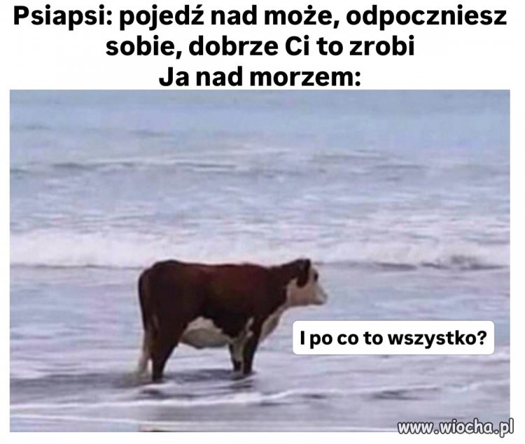 Powdychasz jod