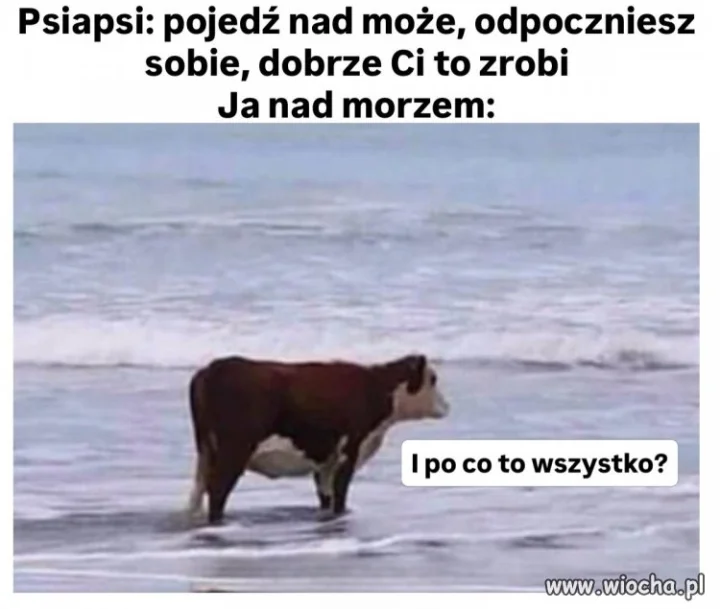 Powdychasz jod