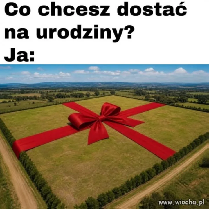 Taka tam działeczka