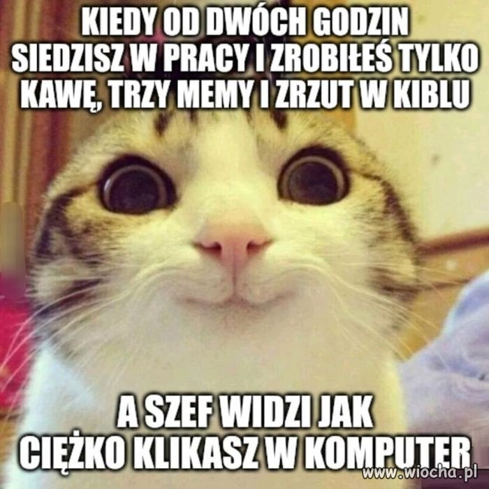 Bo pracować 