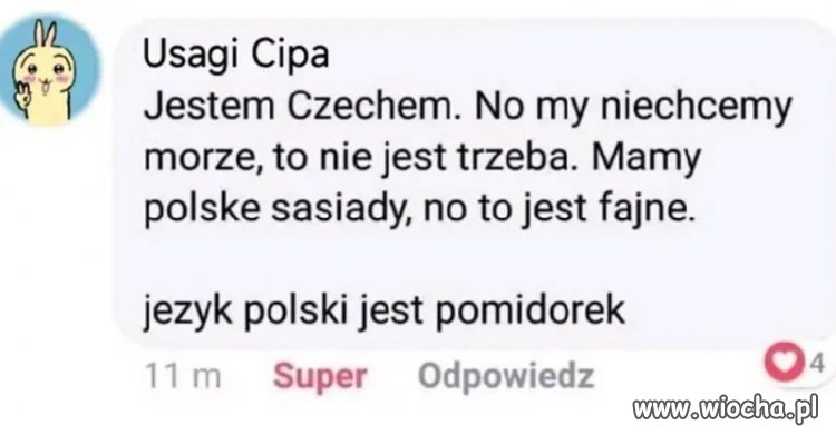 Niechcemy morze