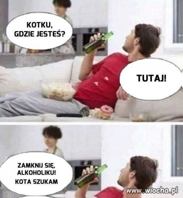 Kotku, gdzie jesteś?