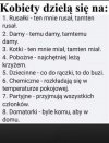 Podział kobiet