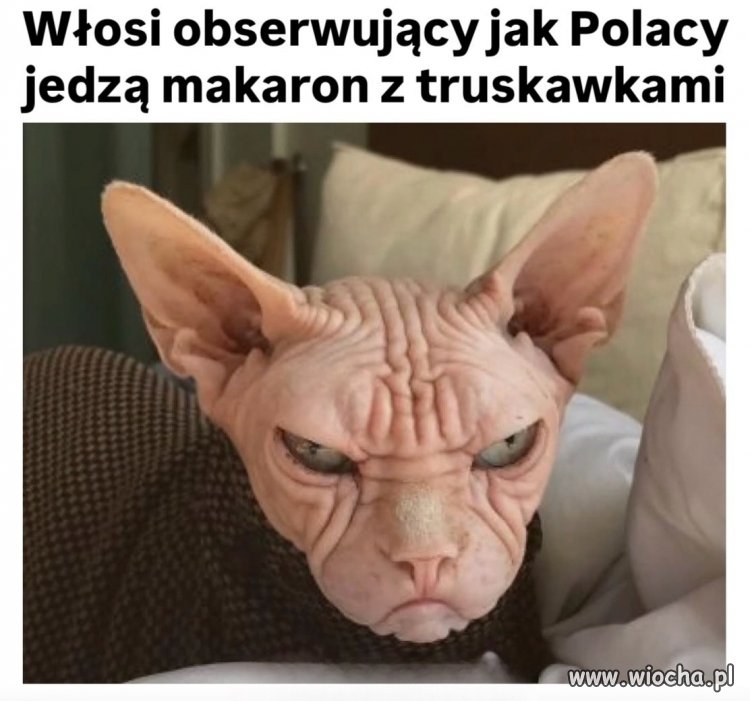 Po co Polacy to czynią?
