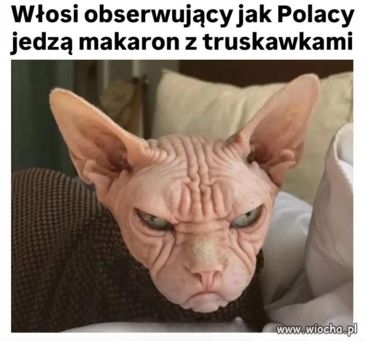 Po co Polacy to czynią?