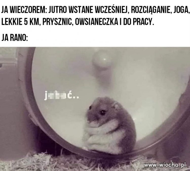 Od jutra zaczynam