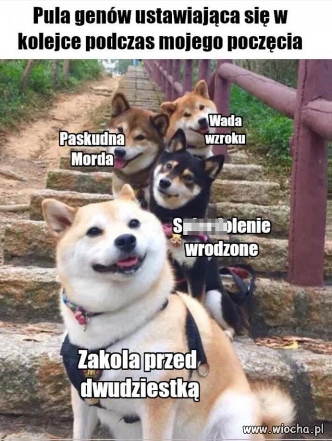 Wszystkie najlepsze cechy