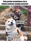 Wszystkie najlepsze cechy