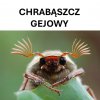 Czerwiec już się zbliża