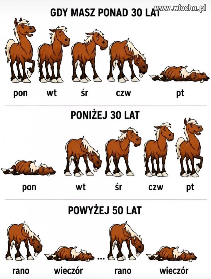 Krąg życia zobrazowany