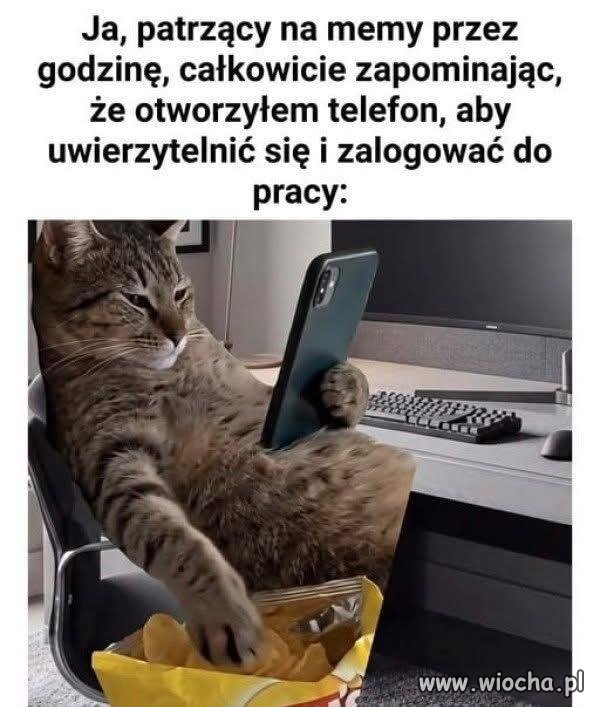 Praca poczeka