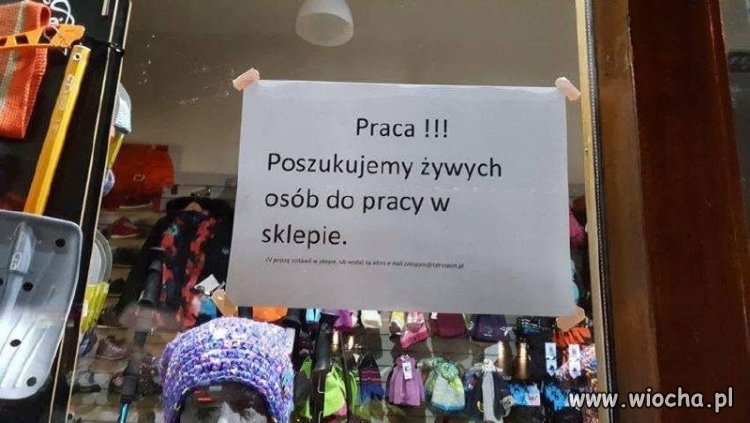 Poszukujemy żywych osób