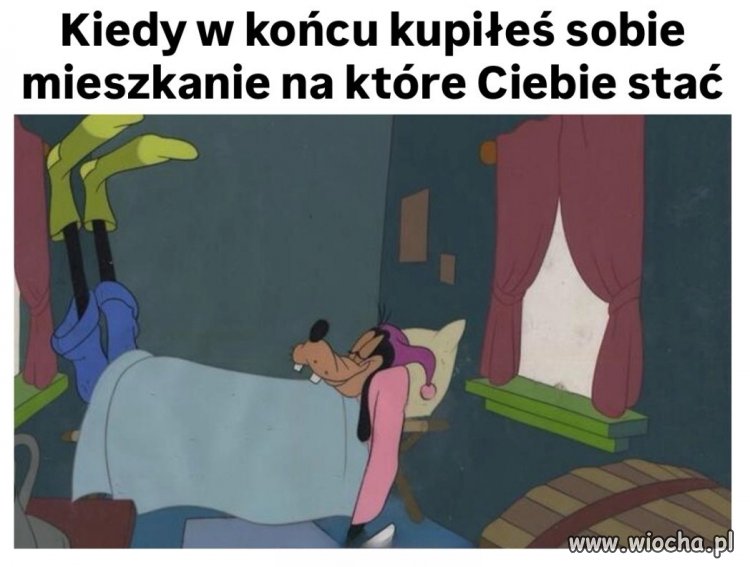 Idealne dla singli