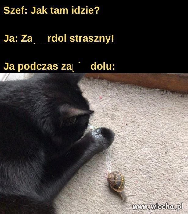 Strasznie idzie