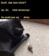 Strasznie idzie