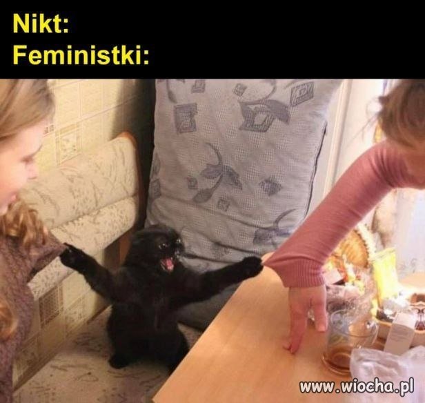 Feministka w ataku