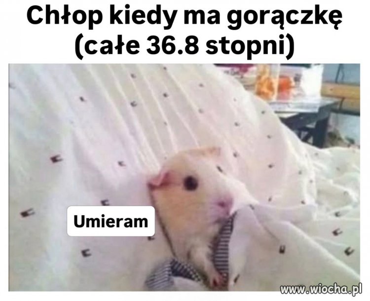 Stan agonalny