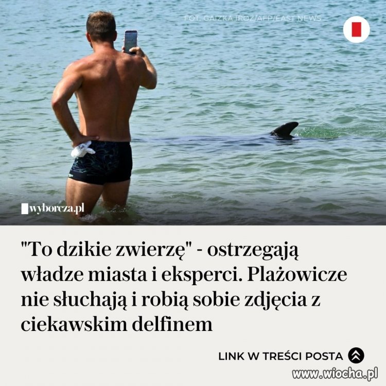 Nie no po prostu selekcja naturalna