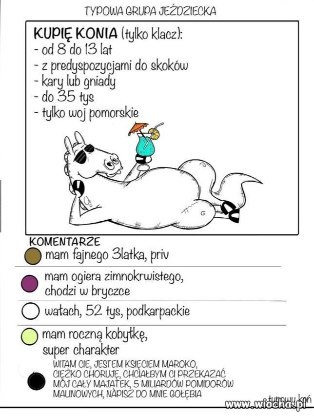 Poziom niektórych komentarzy pod wstawkami 