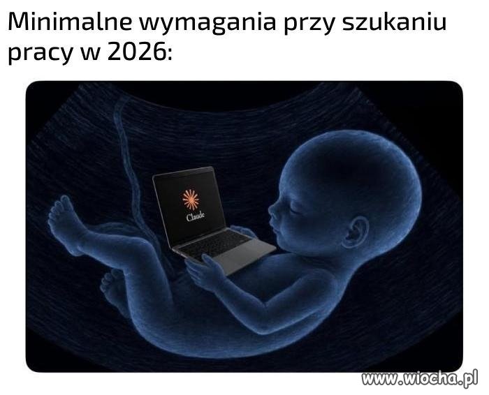 Gdyby zacząć szukać wtedy pracy