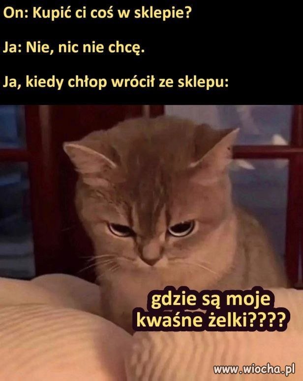 Ja na nic nie mam ochoty