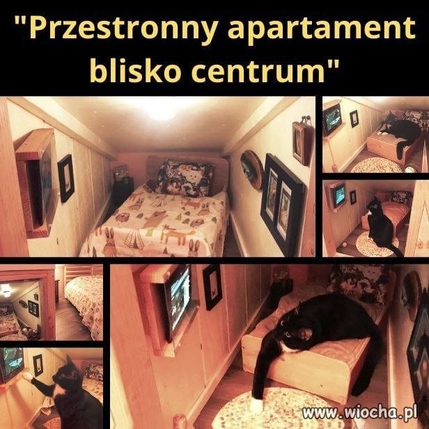 Typowa kawalerka, która daje perspektywy